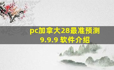 pc加拿大28最准预测 9.9.9 软件介绍